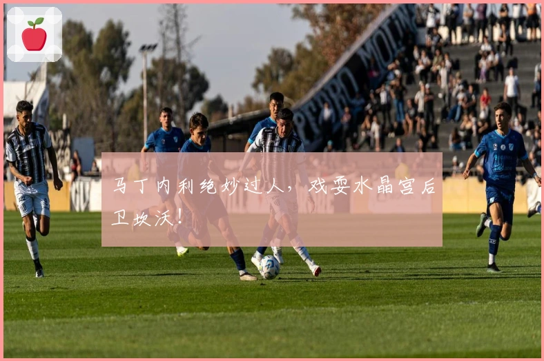 马丁内利绝妙过人，戏耍水晶宫后卫坎沃！