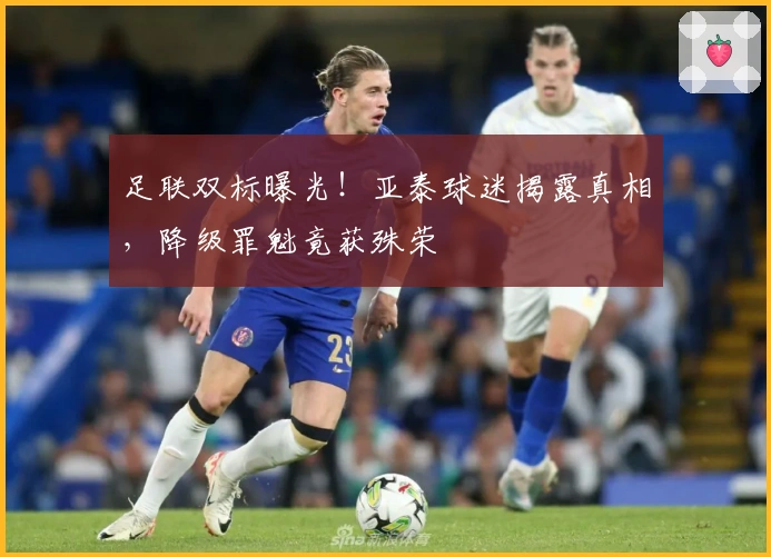 足联双标曝光！亚泰球迷揭露真相，降级罪魁竟获殊荣