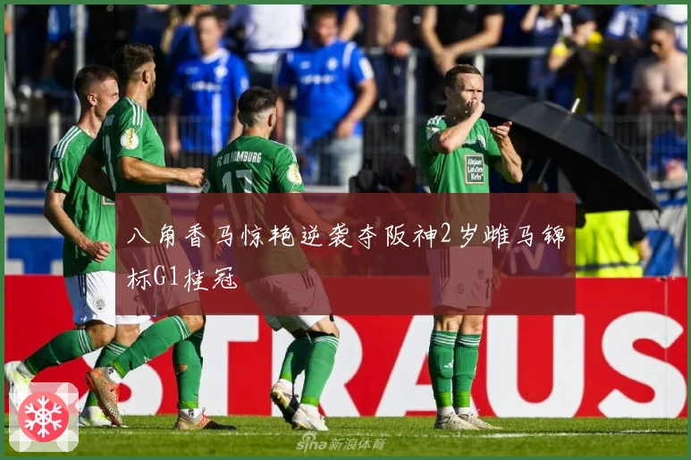 八角香马惊艳逆袭夺阪神2岁雌马锦标G1桂冠