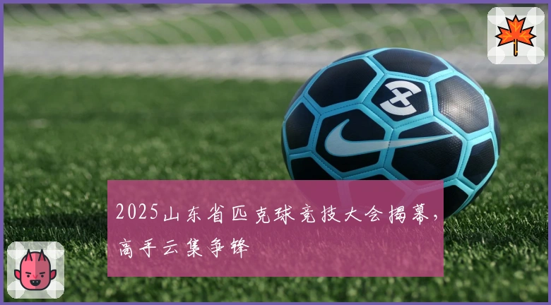 2025山东省匹克球竞技大会揭幕，高手云集争锋