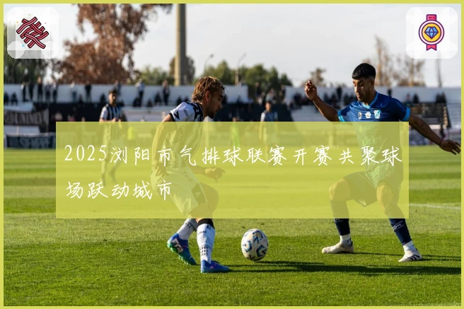 2025浏阳市气排球联赛开赛共聚球场跃动城市